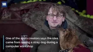 New app lets dog lovers swipe right for the perfect pet match
