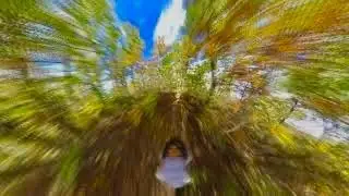 Signal knob in 6 min.TR-408 Massanutten Trail Signal knob, Autumn Leaves 【No Dialogue】