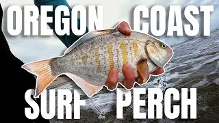 My BEST Day of Surf Fishing! New PERSONAL BEST! (Oregon Coast Surf Perch)