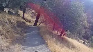 Mountain bike fresno South Finegold Picnic Area