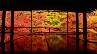 Japanese Flute - Focus & Meditation - Shakuhachi