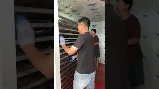 Small fish drying,Industrial squid hairtail seafood dehydration heat pump dryer #fish drying#dryfish