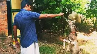 Mr.Trainer😂😂