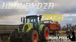 Koszenie kukurydzy na Ziarno 2021🌽🔥 Vixa 😈Class Axion 840😻 Kubota m6040 Class Tucano 420 Valtra