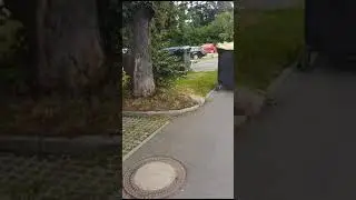 Zugang Schl&uuml;sseltresor Zur Elster 2