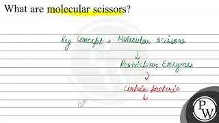 What are molecular scissors?
