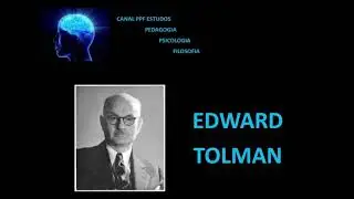 GRANDES NOMES DA PSICOLOGIA - EDWARD TOLMAN