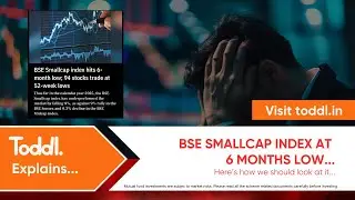 BSE Smallcap Index Hits 6-Month Low | Here's how we should look at it...