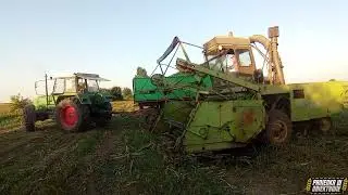 🇵🇱 Koszenie kukurydzy 2023 | Fortschritt w akcji | koparko-ładowarka na kiszonce | Fendt & Landini