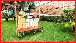 Bloemen Park - Holambra SP
