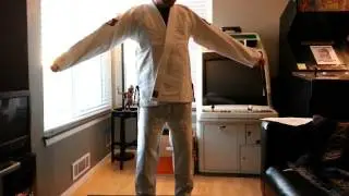 Inverted Gear Panda Gi 2.0 Review