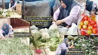 MELELES HR INI TINGGAL ANGKUT⁉️UDAH DIPLASTIKIN,HR INI BANYAK DPT CABE