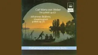 Trio for Flute, Violoncello and Piano in G Minor, Op. 63: I. Allegro moderato