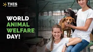World Animal Welfare Day