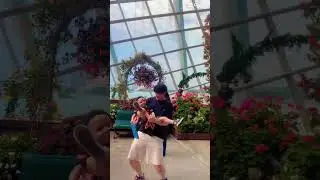 Nice photos at Gardens by the bay (flower dome) #travel #family #vacation #thingstodo #fun
