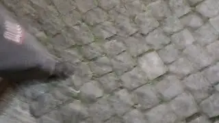 Rei da parada 2