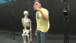 Shoulder Pain, it's probably your scapulas fault