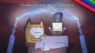 Коты - безумцы | BbTt | 6