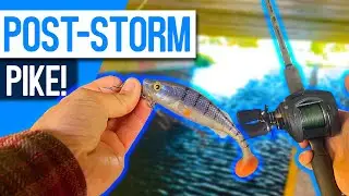 Post-Storm Pike Fishing!