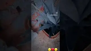 #nuclearbantreaty #nuclearban #nucleararms