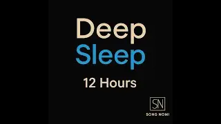 12 Hour Turkish Meditation Music &bull; Deep Sleep &bull; Ney & Kanun &bull; Healing Sleep Ambience