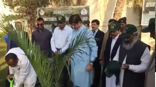 TREE PLANTATION DRIVE LAUNCHED