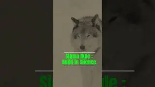 🔥Sigma Rule #1: BUILD IN SILENCE.🦁🔥