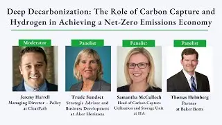 Deep Decarbonization Thought Leadership Panel