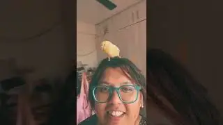 #myflock