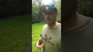 Micro Killplot with Chic FLICK and Nitro Clover #foodplots #deer #hunting #whitetaildeer