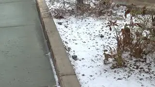Western Slope residents welcome snowy weather