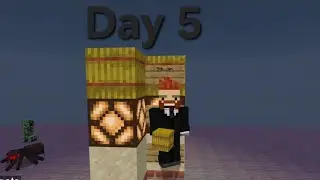 Place a block every day of the year on Minecraft Day 5