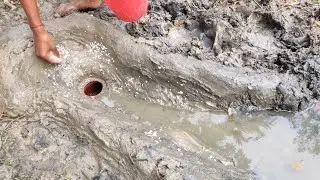 Amazing  Hole Fish Trap _ Smart Boy Build Fish Trap By Muddy soil... ❤️ Fishing Videos