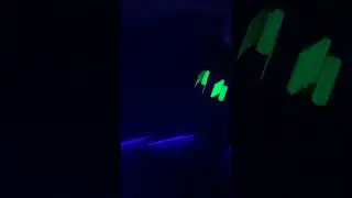My robots are broken