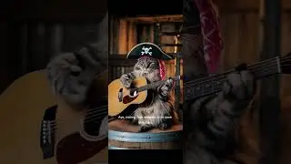 Pirate Cat Tells A Tale #cat #catstory #story #pirate #piratestories