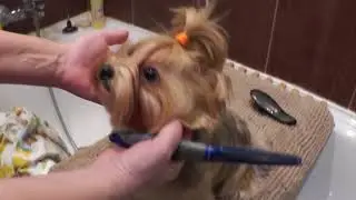 ВЛОГ Банный день у Женьки 😊 / Борис меня ругает ! / Забитый холодильник :( 24.01.2018