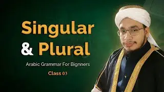 Singular & Plural in Arabic | Arabic Grammar for Beginners | Class 3 | Quran Translation