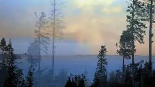 Camano Island, WA Wind Storm Jan 7 2022
