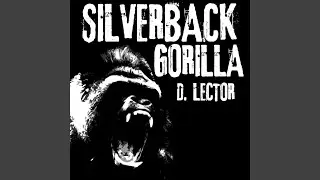 Silverback Gorilla