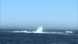 Where Two Oceans Meet