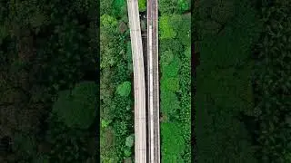 &ldquo;Where Green Meets Yellow: Aerial View of Bengaluru Metro Lines Amidst Urban Greenery&rdquo;