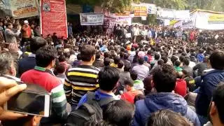 Supporter at Jantar Mantar - ST