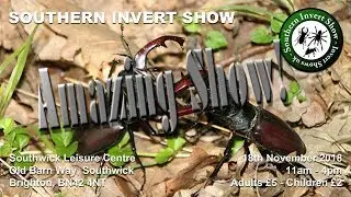 Southern Invert show 2018!