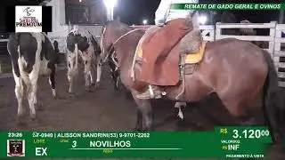 REMATE GERAL DE GADO E  OVINOS - SANTA RITA - CAPÃO DO LEÃO