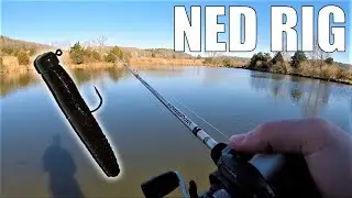 NED RIG Winter Bass Fishing