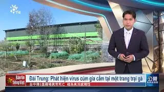 20260128 Bản tin tiếng Việt PTS Đ&agrave;i Loan 公視越南語新聞0128越