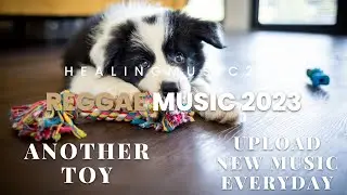 Latest reggae music playlist 2023. Best for dance, relax, and chill. Alex Keren - Another Toy