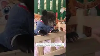 If you found a little bear cub crying out for help, would you reach out to save it? 💛