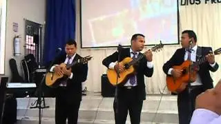 Cantores de Vida