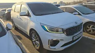 LiviAnna AUTO - KIA CARNIVAL 2019 NOBLESS SPECIAL 128,000 km